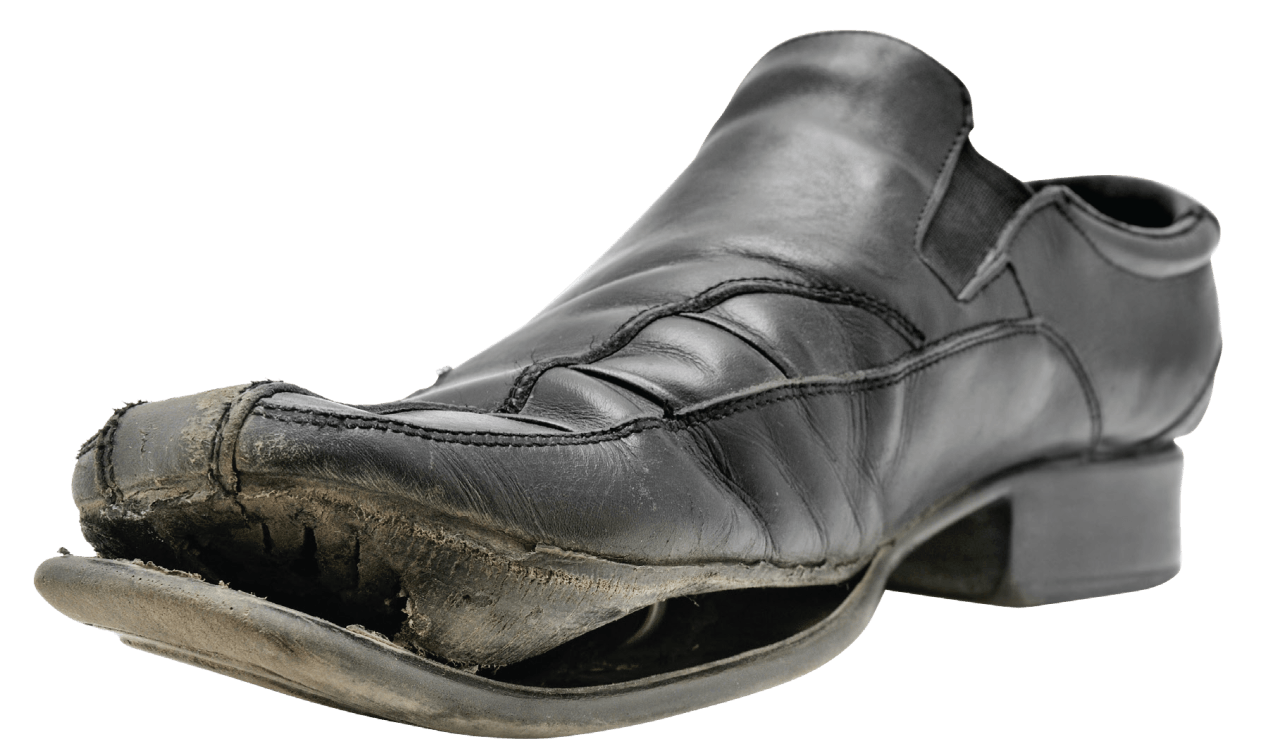Chicago Purim Fund | CPFund | Torn Shoe, Jewish community fund